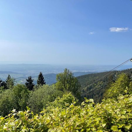 פלדברג Neue Ferienwohnung Mit Whirlpool Und Sauna In Der Residenz Grafenmatt Inklusive Hochschwarzwaldcard מראה חיצוני תמונה