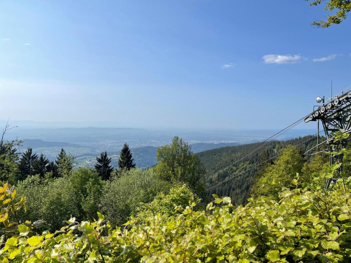 פלדברג Neue Ferienwohnung Mit Whirlpool Und Sauna In Der Residenz Grafenmatt Inklusive Hochschwarzwaldcard מראה חיצוני תמונה